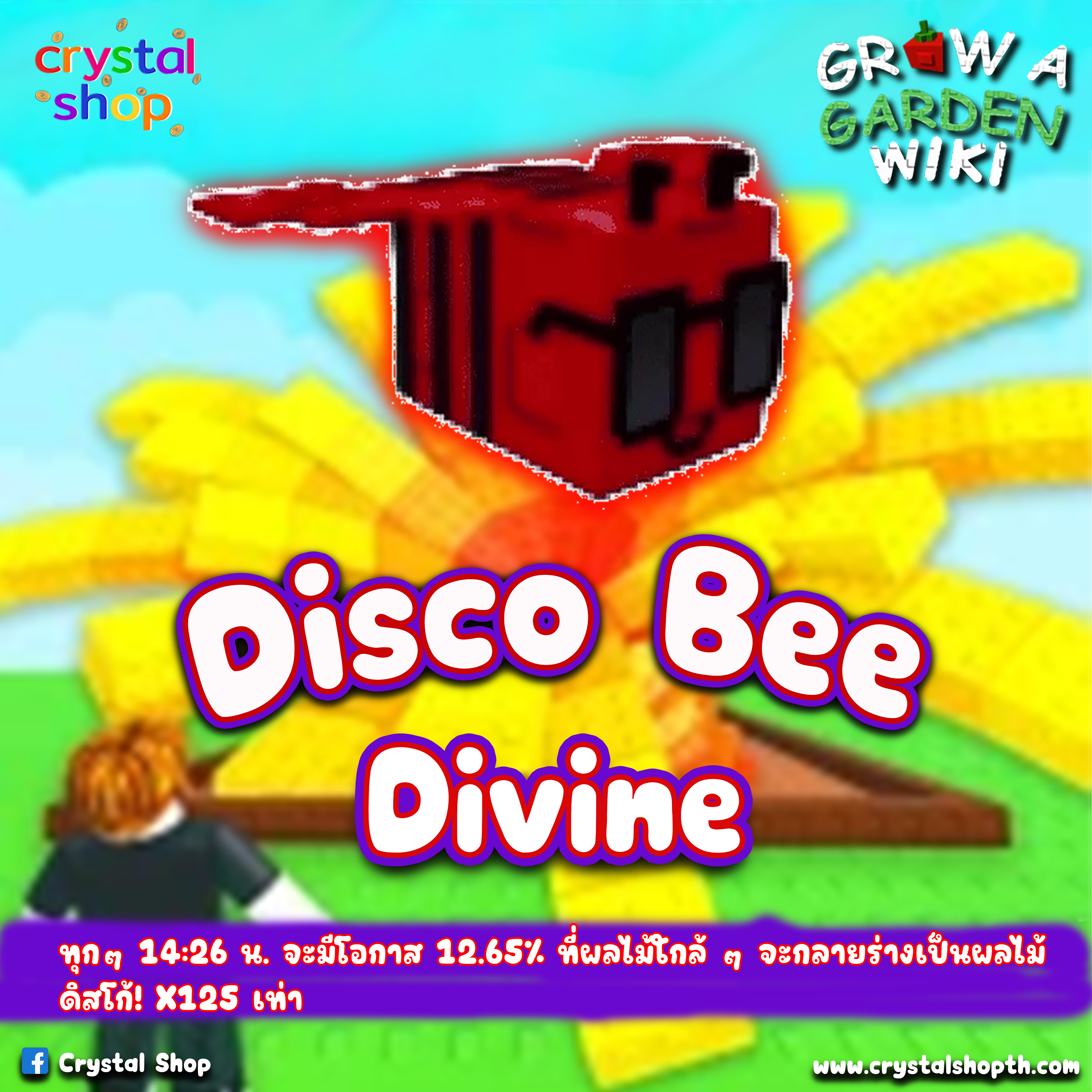 Disco Bee
